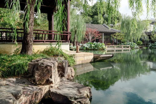 蘇州7個小眾園林｜0元打卡，人少景美免費(fèi)游玩攻略
