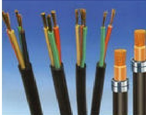 天纜小貓牌電線電纜 動力電纜線與鎧裝電力電纜的專業(yè)報價解析