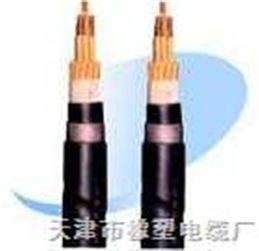 RVZ與RVZ電力電纜 規(guī)格、特點與應用全解析